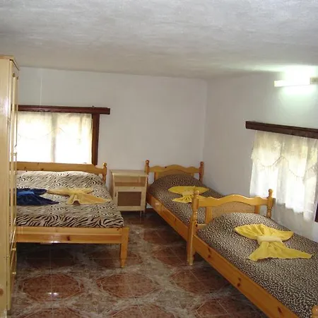 Kuma Lissa 게스트하우스 *