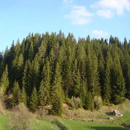 게스트하우스 Kuma Lissa *