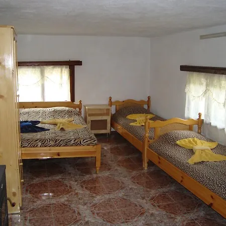 Kuma Lissa 게스트하우스 *