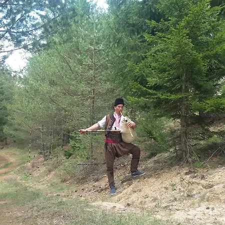 Kuma Lissa 게스트하우스