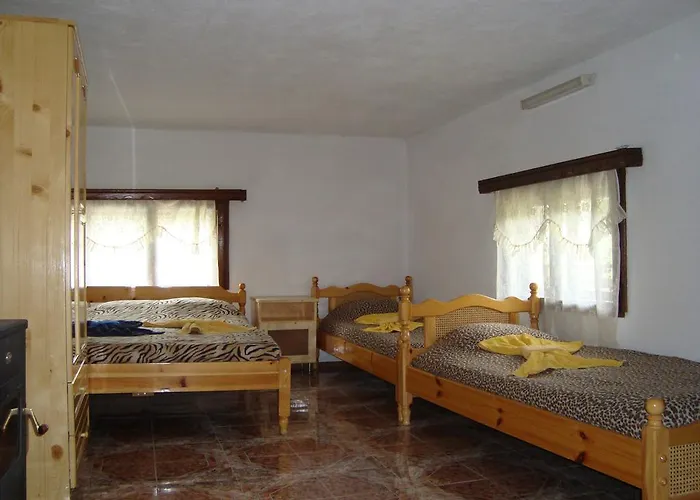 Casa de hóspedes Kuma Lissa