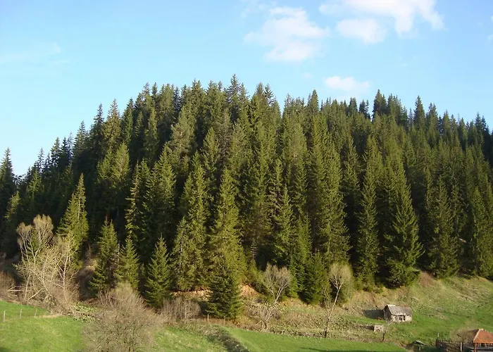 Casa de hóspedes Kuma Lissa *