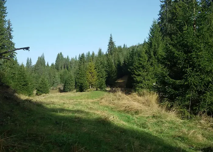 Casa de hóspedes Kuma Lissa *