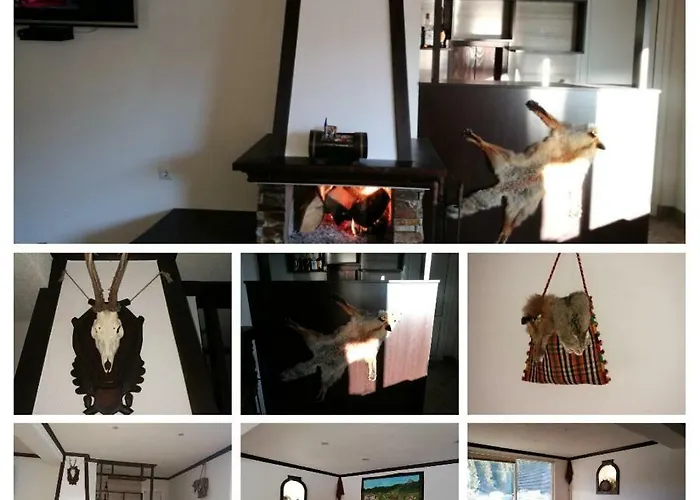 Casa de hóspedes Kuma Lissa Kozhari